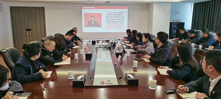 集團(tuán)黨委委員、副總經(jīng)理賀維維同志講授專題黨課